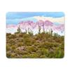 YENDOSTEEN Gaming Mouse Pad – Sonora Desert Alpenglow Sunset view 1