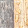 LIXUM 100% Organic Natural Hardwood Wood Stain & Protection, Elm, Brown 0.30, 335 ml (approx. 10 m²) view 4