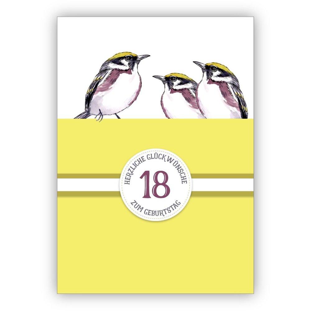 Set of 16 Sunny 18th Birthday Cards with Yellow Birds