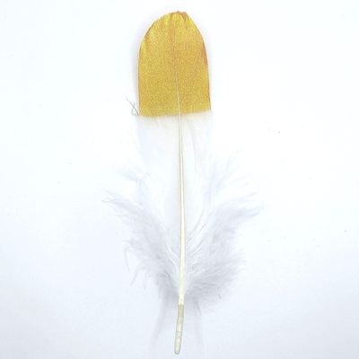 Natural Goose Feathers, Approx. 15–20 cm, 10 Pieces, White/Gold-Colored
