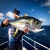 Nomad DTX Minnow Sinking - 165 mm - 90 g - Pink Mackerel view 2