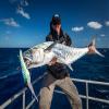 Nomad DTX Minnow Sinking - 165 mm - 90 g - Pink Mackerel view 3