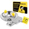 CGOLDENWALL Wall-Mounted 304 Stainless Steel Eyewash Station, Dual Spray Nozzles, Hand Push Plate, 12 L/min view 1