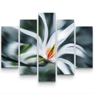 Canvas Wall Art 160 x 100 cm, White Abstract Magnolia Flower
