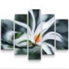 Canvas Wall Art 160 x 100 cm, White Abstract Magnolia Flower view 1