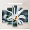 Canvas Wall Art 160 x 100 cm, White Abstract Magnolia Flower view 2