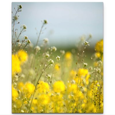 Canvas Wall Art, 90 x 90 cm, Flower Close-Up