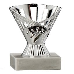 Silver Trophy, 16 cm