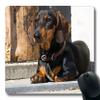 Custom Dog Gaming Mouse Pad view 1