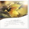 metALUm Sympathy Card REDEMPTION | Sunflower 3300018 view 1