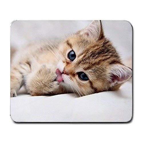 Gaming Mouse Pad, Kitten Licking Its Paw, MP1029