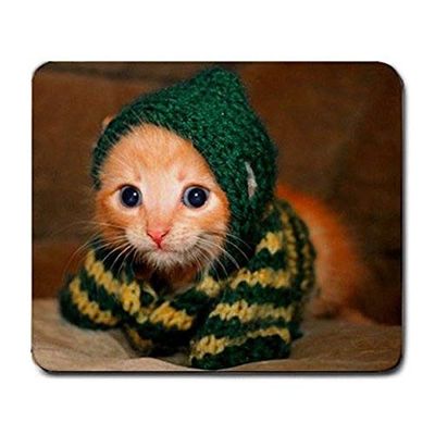 Mouse Pad, Kittens in Green and Yellow Striped Knitted Hoodies