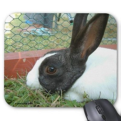Lovely Rabbit Gaming Mouse Pad