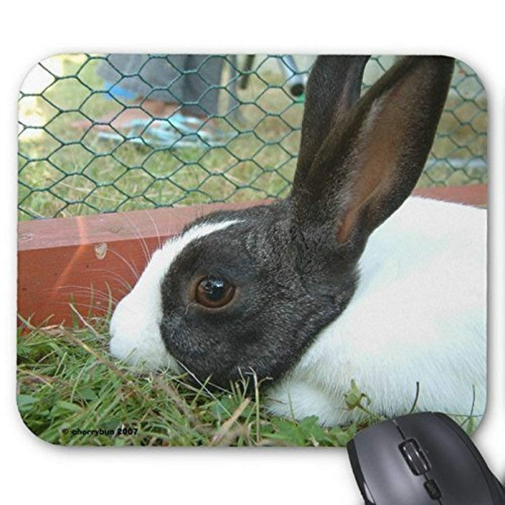Lovely Rabbit Gaming Mouse Pad