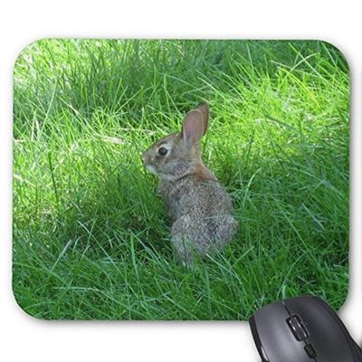 Lovely Rabbit Gaming Mouse Pad, Rabbit Jump in the Grass