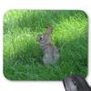 Lovely Rabbit Gaming Mouse Pad, Rabbit Jump in the Grass view 1