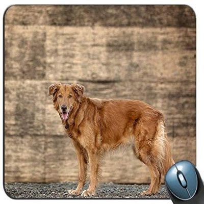 Gaming Mouse Pad with Cute Golden Retriever Puppy