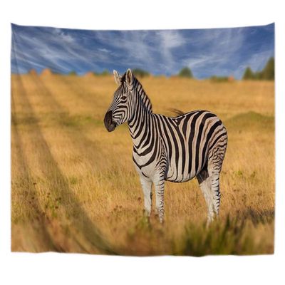 A.Monamour Wall Tapestry, Lone Wild Zebra on Brown Meadow, African Plains Landscape, 180 x 230 cm