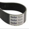 ConCar V-Ribbed Belt Profile: 8 PL, 2565 mm / 1010 L, Standard: DIN 7867 view 1