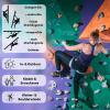 ALPIDEX 7 XL Climbing Holds, Mixed Color view 4
