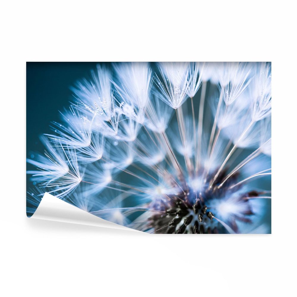 decomonkey Self-Adhesive Photo Wallpaper, Pustule Flowers, Nature, 98 x 70 cm, Floral