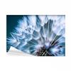 decomonkey Self-Adhesive Photo Wallpaper, Pustule Flowers, Nature, 98 x 70 cm, Floral view 1