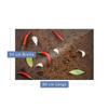 decorwelt | 80 x 52 cm 1-Piece Red Pepper Glass Cooktop Cover view 2