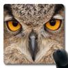 Gaming Mouse Pad with Purdue Owl Design and Stitched Edges view 1