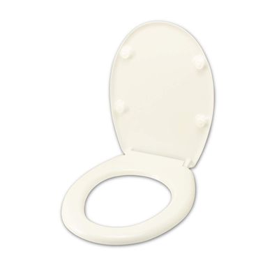 G.S.I. Giada Termoindul Toilet Seat, White, Standard Stainless Steel Hinges