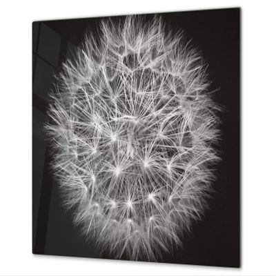 Tempered Glass Cutting Board and Protective Work Surface, SINGLE 60 x 52 cm or DOUBLE—Two 30 x 52 cm Boards, D06 Flowers Series: Dandelion 4