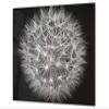 Tempered Glass Cutting Board and Protective Work Surface, SINGLE 60 x 52 cm or DOUBLE—Two 30 x 52 cm Boards, D06 Flowers Series: Dandelion 4 view 1