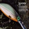 Rapala Shadow Rap Fishing Lure, 7 cm, 5 g, 0.7 m Diving Depth, Hot Head view 3