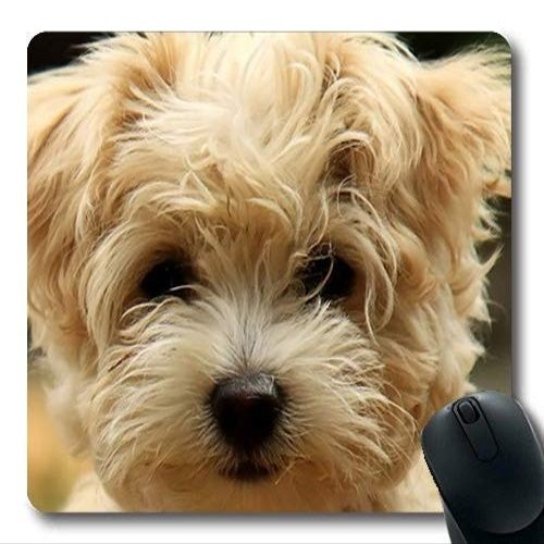 French Bulldog Gaming Mouse Pad with Precision Stitching
