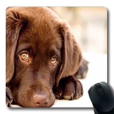 Gaming Mouse Pad, Happy English Bulldog Puppy, Precision Stitching, Durable