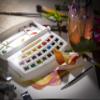 Royal Talens Van Gogh Watercolor Set, 24 Botanical Colors view 2
