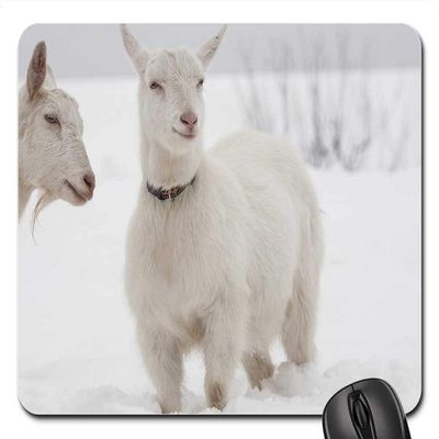 Mouse Pads - Goat White Goat Snow Dog Collar