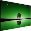 Feeby Nature Canvas Wall Art 60 x 40 cm – Green Tree and Water view 1