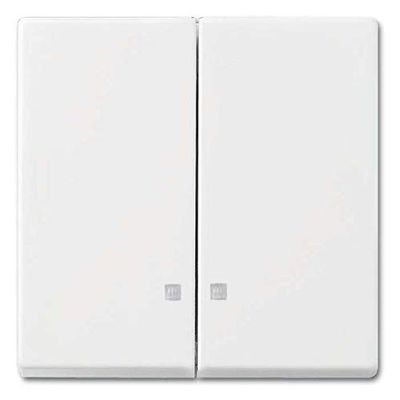 Busch-Jaeger Alpine White Rocker 2505 K-914