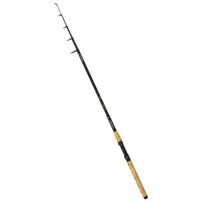 2.40 m Trophy Tele 20–70 g