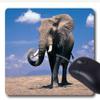 Elephant Top Personality Designs Gaming Mouse Pad view 1