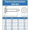 Eisenwaren2000 | M6 x 110 mm Stainless Steel A2 Carriage Bolts with Square Neck, 20-Pack view 2