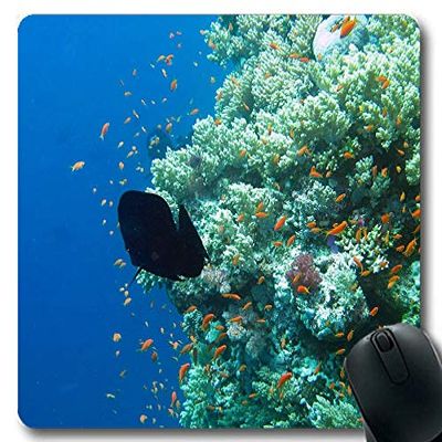 Fish-Themed Mouse Pad