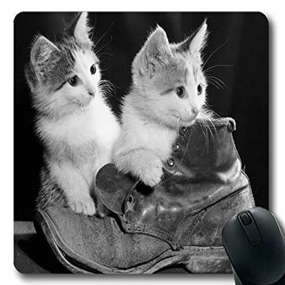 Cat272 Cat Mouse Pad