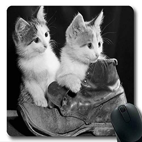 Cat272 Cat Mouse Pad