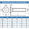 Eisenwaren2000 M3 x 12 mm Countersunk Socket Screws, A2 Stainless Steel, 100-Pack view 2