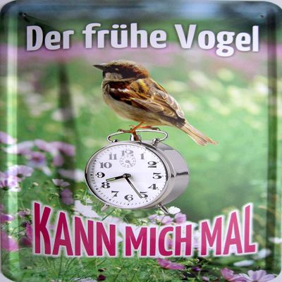 vielesguenstig-2013 Metal Sign 20 x 30 cm – The Early Bird Can Go Screw Itself