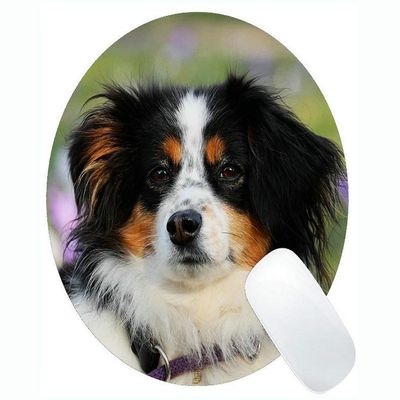 Round Australian Shepherd Dog Gaming Mouse Pad