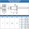Eisenwaren2000 | 5 x 20 mm Countersunk Blind Rivets, 40-Piece, A2 V2A Stainless Steel view 2