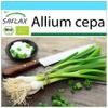 SAFLAX Organic Gift Set – White Lisbon Spring Onion Seeds, 150 Seeds view 1