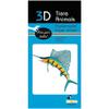 Fridolin 11660 3D Paper Model - Sailfish view 2